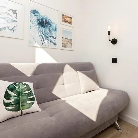 Przebendowskiego By Renters *